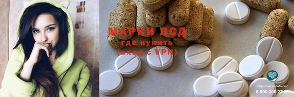 прущие грибы Балабаново
