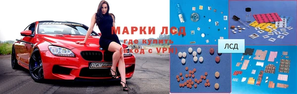 прущие грибы Балабаново