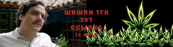 PSILOCYBIN Балахна