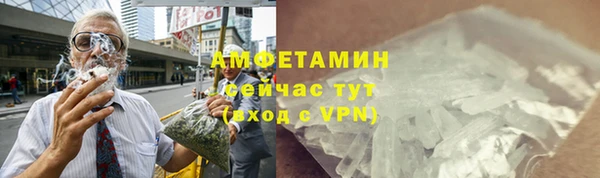 прущие грибы Балабаново