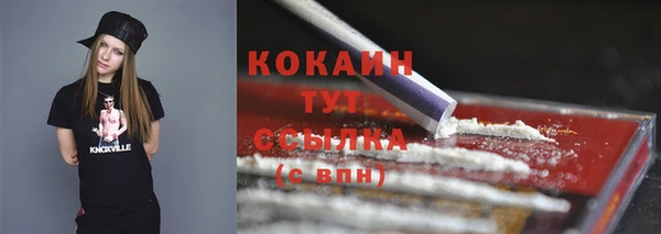 соль ск Чекалин