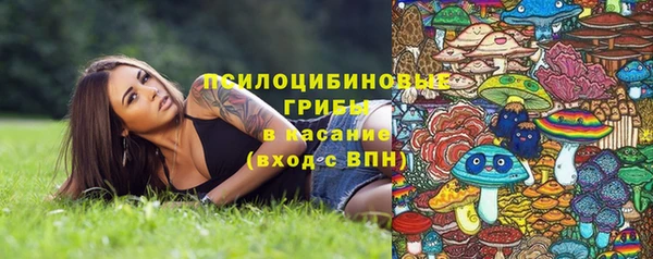 PSILOCYBIN Балахна