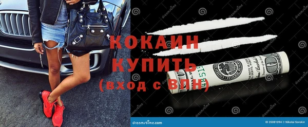 прущие грибы Балабаново