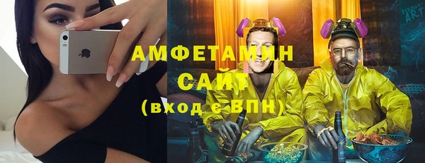 прущие грибы Балабаново