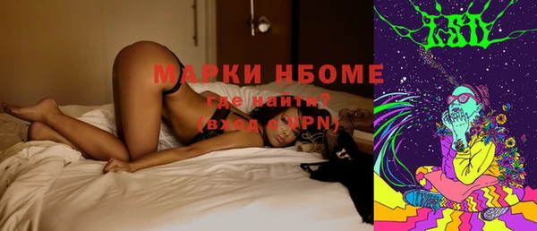 прущие грибы Балабаново