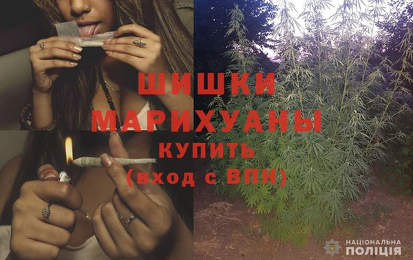 PSILOCYBIN Балахна